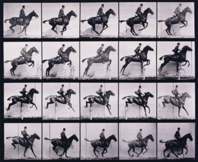Jumping a hurdle, 1872-1885.  Creator: Eadweard J Muybridge.