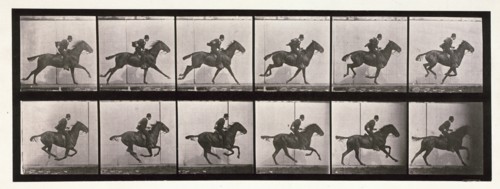 Gallop, 1872-1885.  Creator: Eadweard J Muybridge.