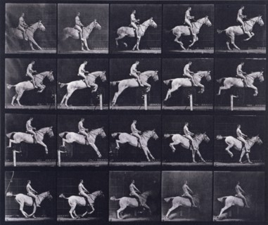 Jumping a hurdle, 1872-1885.   Creator: Eadweard J Muybridge.