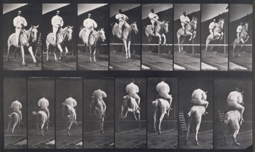 Jumping a hurdle, 1872-1885.   Creator: Eadweard J Muybridge.