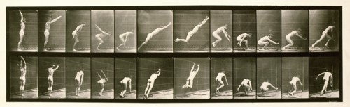 Jumping, 1872-1885.  Creator: Eadweard J Muybridge.