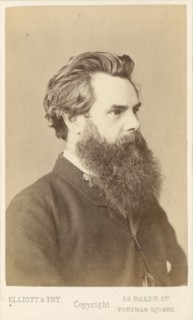 Thos. Woolner, c1865. Creator: Elliott & Fry.