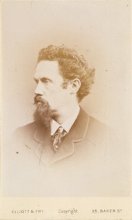 Henry Stacy Marks, R.A., c1865. Creator: Elliott & Fry.