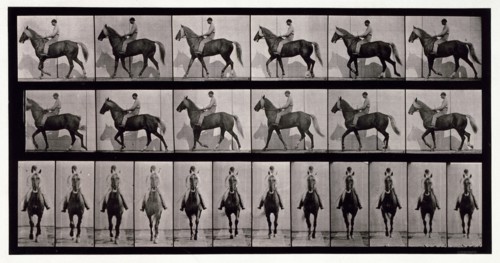 Walking, 1872-1885.  Creator: Eadweard J Muybridge.