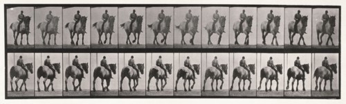 Walking , 1872-1885.  Creator: Eadweard J Muybridge.