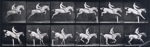 Jumping a hurdle , 1872-1885.   Creator: Eadweard J Muybridge.