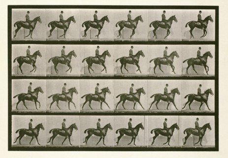 Canter, 1872-1885.  Creator: Eadweard J Muybridge.
