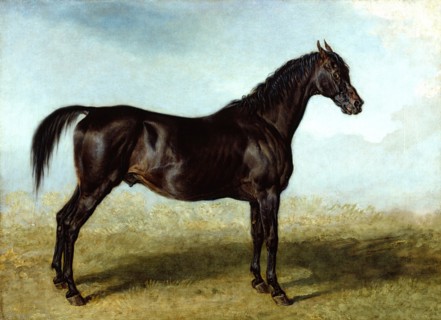Guy Mannering: A Race Horse, c1822. Creator: James Ward.