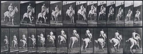 Jumping a hurdle, 1872-1885.   Creator: Eadweard J Muybridge.