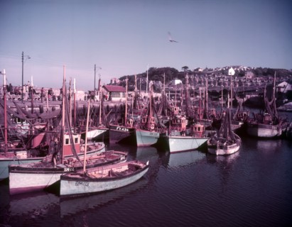 Boats in Brixham Harbour, Devon, c1955. Creator: Arthur Charles Kirby Ware.