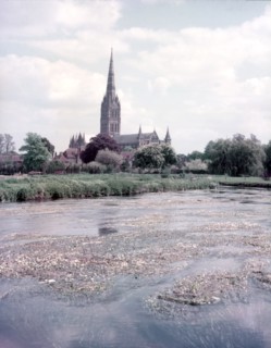 The Cathedral, Salisbury, Wiltshire, c1955. Creator: Arthur Charles Kirby Ware.