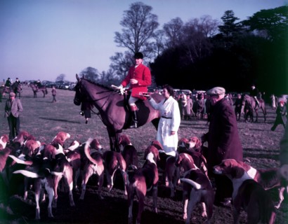 Hunt of Woburn Abbey, Bedfordshire, c1955.  Creator: Arthur Charles Kirby Ware.