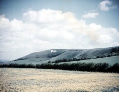 The White Horse at Westbury, Wiltshire, c1955. Creator: Arthur Charles Kirby Ware.
