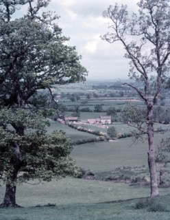 View near Llandysul, Wales, c1955. Creator: Arthur Charles Kirby Ware.