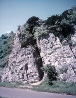 Burrington Combe, Somerset, c1955. Creator: Arthur Charles Kirby Ware.