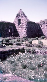 Ruins of nunnery, Isle of Iona, Scotland, c1955.  Creator: Arthur Charles Kirby Ware.