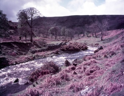 Wicklow, Ireland, c1955. Creator: Arthur Charles Kirby Ware.