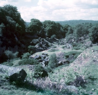 Parkend, Forest of Dean, c1955.  Creator: Arthur Charles Kirby Ware.