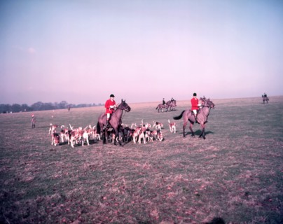 Hunt of Woburn Abbey, Bedfordshire, c1955.  Creator: Arthur Charles Kirby Ware.