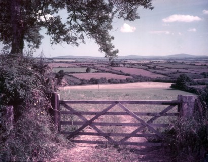 View from Clarbeston, Pembrokeshire, c1955.  Creator: Arthur Charles Kirby Ware.