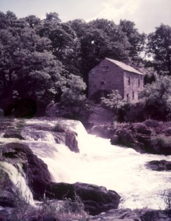Salmon leap at Cenarth, Carmarthen, c1955.  Creator: Arthur Charles Kirby Ware.