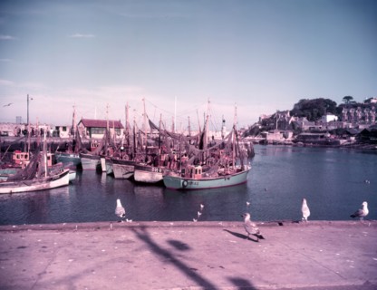 Gulls and boats in Brixham Harbour, Devon, c1955. Creator: Arthur Charles Kirby Ware.