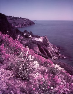Start Bay, Devon, c1955.  Creator: Arthur Charles Kirby Ware.