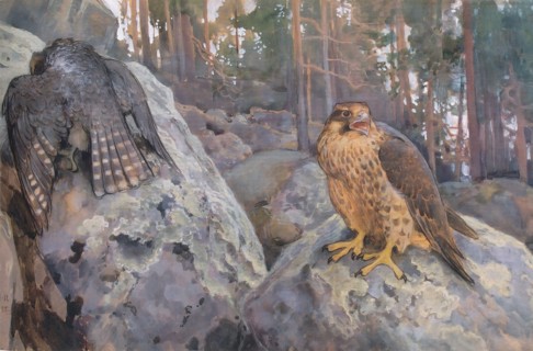Falcons in the Forest, 1895. Creator: Eero Jarnefelt.