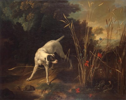 Dog Pointing a Partridge, 1725. Creator: Jean-Baptiste Oudry.