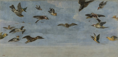A Little Owl and a Flock of Birds, between 1600 and 1657. Creator: Frans Snyders.