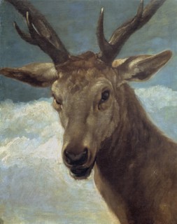 Head of a Stag, 1626-28. Creator: Diego Velasquez.