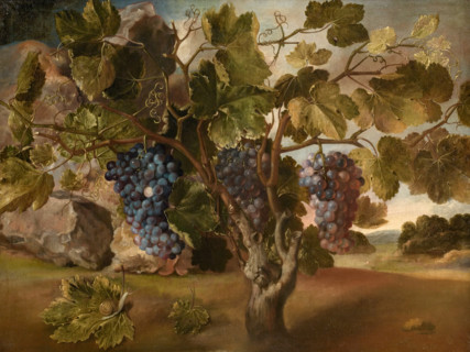 Landscape with a Vine, 1645. Creator: Tomás Hiepes.