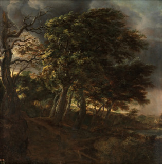 Forest, between 1640 and 1645. Creator: Simon de Vlieger.