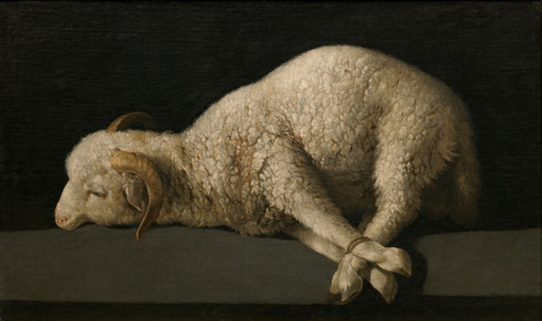 Agnus Dei, between 1635 and 1640. Creator: Francisco de Zurbaran.