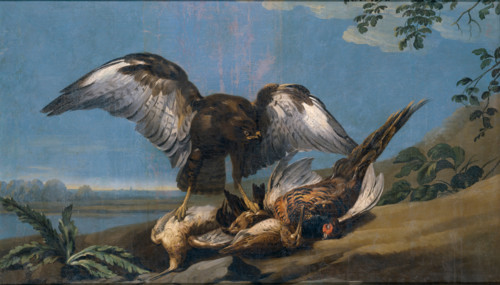 Kite with a Group of dead Birds, 1774. Creator: Jose del Castillo.
