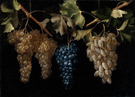 Four Bunches of hanging Grapes, c1636. Creator: Juan Fernandez el Labrador.