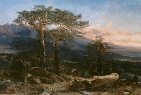 A Guadarrama Landscape, 1858. Creator: Martín Rico y Ortega.