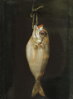 Bream, late 18th century. Creator: Bartolome Montalvo.