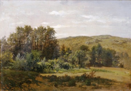 Grove near the Piedra Monastery, c1856. Creator: Carlos de Haes.