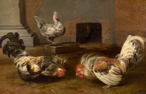 Fighting Cocks. Creator: Frans Snyders.