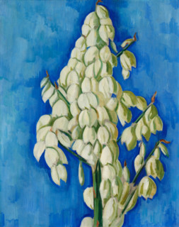 White Yucca, 1928. Creator: Marsden Hartley.