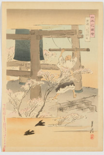 Cherry Blossoms in the Morning, from the series "Pictures of the Flowers of Japan" (Nihon... 1898. Creator: Ogata Gekko.
