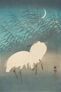 Herons and Reeds under a Crescent Moon, 1926. Creator: Ohara, Koson (1877-1945).