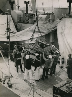 Hoisting a case from the deck of  H.M.S. Suffolk at Portsmouth, July 1935.  Creator: Topical Press Agency.
