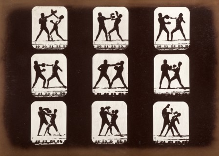 Athletes. Boxing., 1881. Creator: Eadweard J Muybridge.