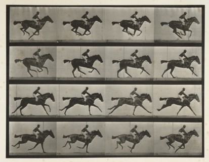 Horses. Gallop; thoroughbred bay mare (Annie G) with male rider, 1872-1885. Creator: Eadweard J Muybridge.