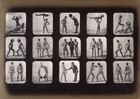 Athletes, posturing, 1881. Creator: Eadweard J Muybridge.
