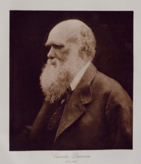 Charles Darwin (from life), 1868.  Creator: Julia Margaret Cameron.