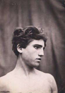 Head and shoulders of a young man, Taormina, Sicily, c1890s. Creator: Count Wilhelm von Gloeden.