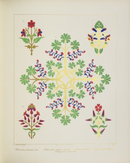 Floral designs, 1849.  Creator: H C Maguire.